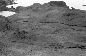 Fig. H9.7. Papadil from the north-east. The pinnacle can be seen in the left background. In the centre , in front of the wall, is the possible church site (SC 1093048, dated 1983. Crown Copyright: RCAHMS)